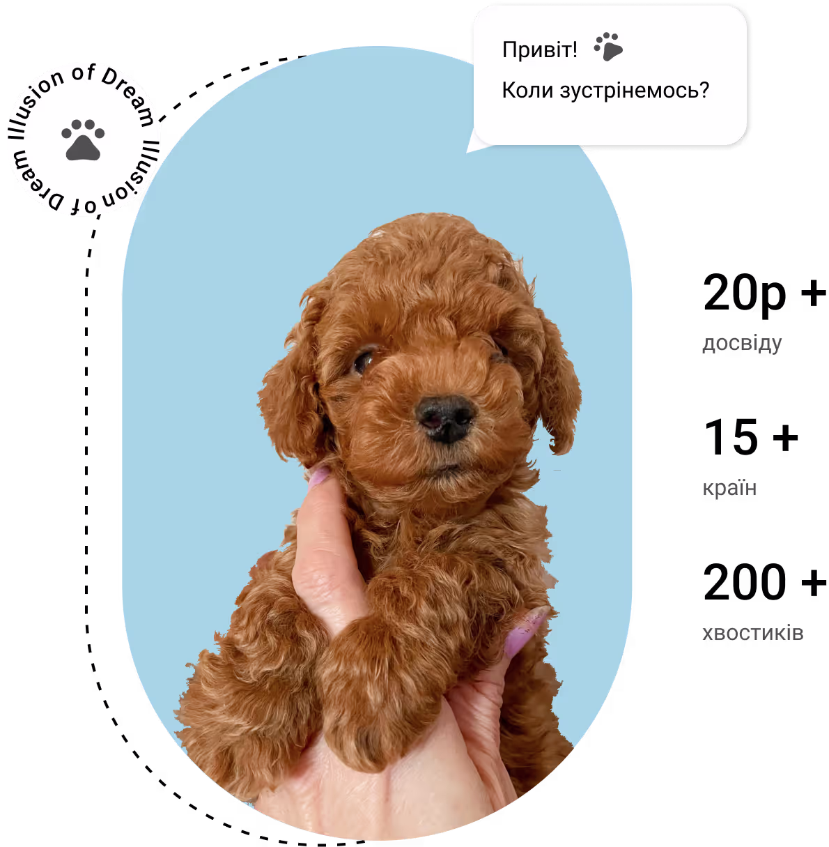 Dog-Photo