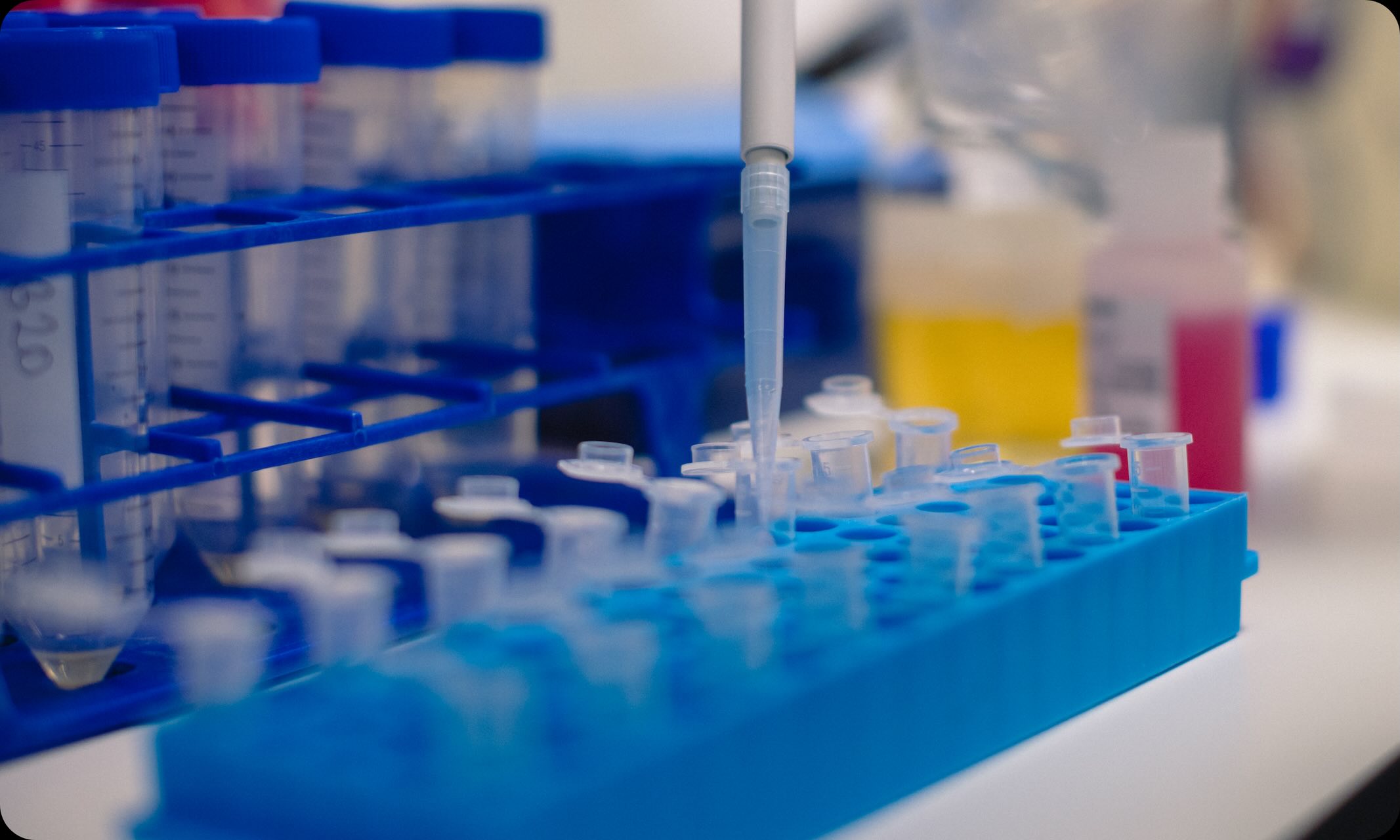Micropipette dispensing liquid into small tubes in a blue lab rack inside a laboratory setting.