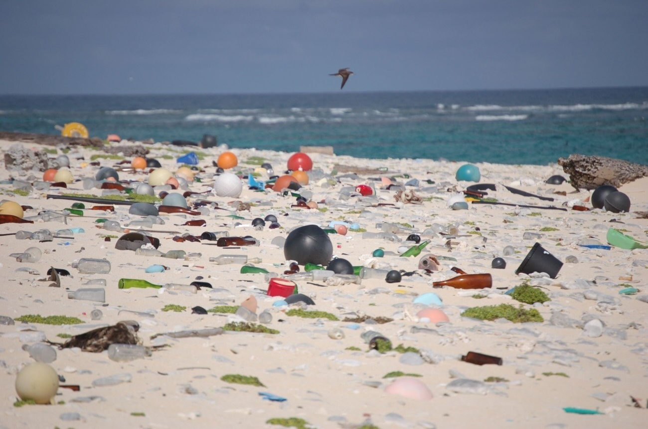 Beach littered with various plastic debris and bottles under a flying bird with ocean waves in the background.