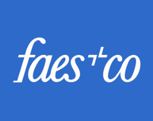 Christian Faes