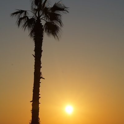 VET Sonnenuntergang Benicassim2