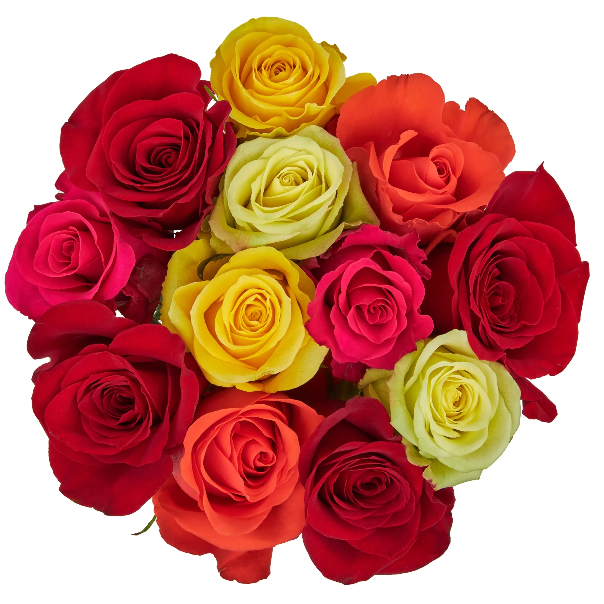 Docena de rosas 