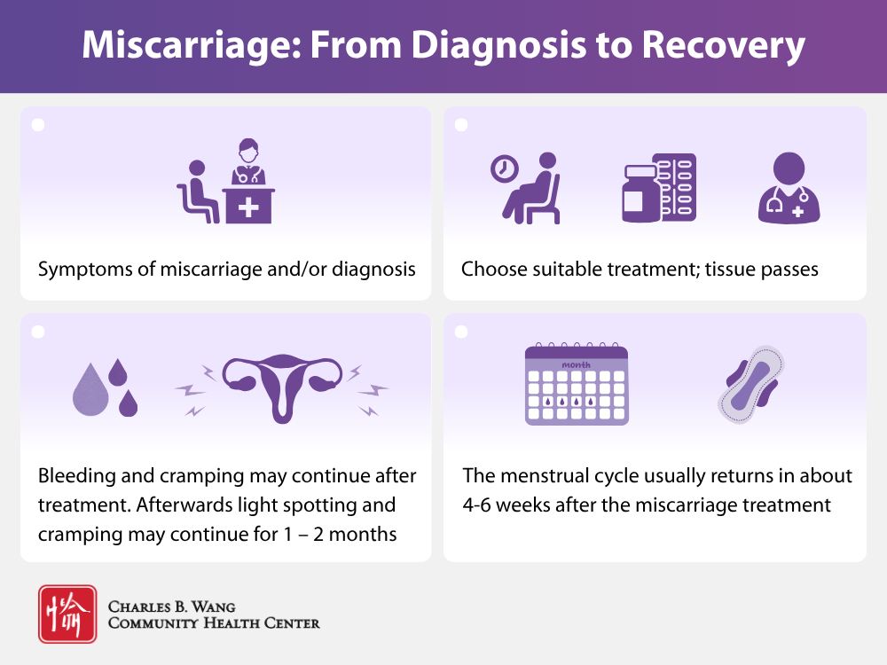 Table describing the process of miscarriage- from diagnosis to recovery. A person may experience: diagnosis or symptoms of miscarriage, choosing a suitable treatment, bleeding and cramping directly after treatment, and light spotting and cramping that may continue for 1-2 months. Menstrual cycle usually returns 4-6 weeks after miscarriage treatment.