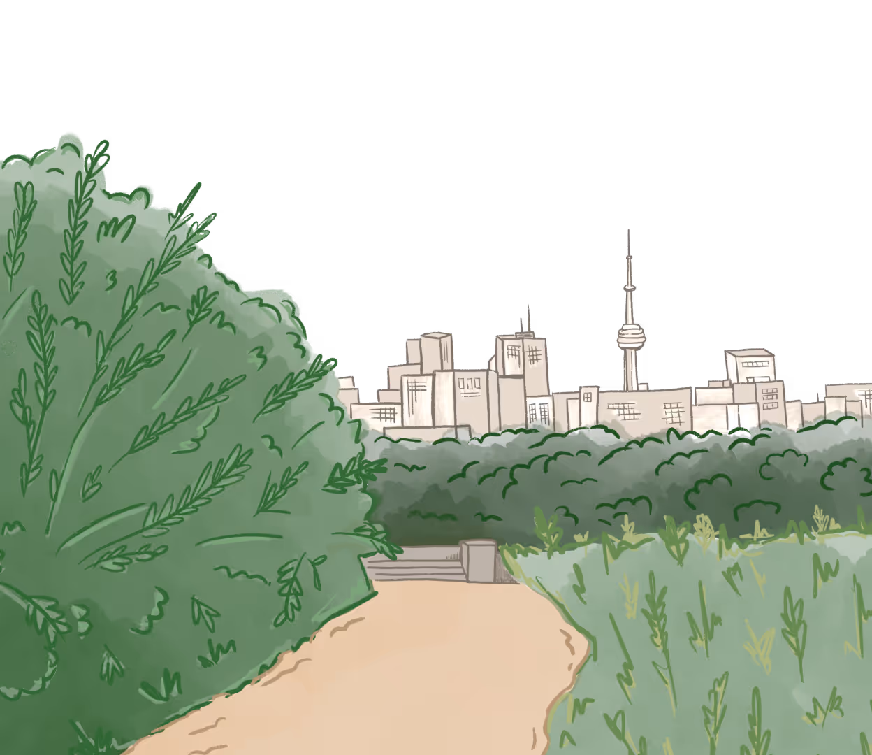 Illustration of a trail in Don Valley Ravine, Toronto