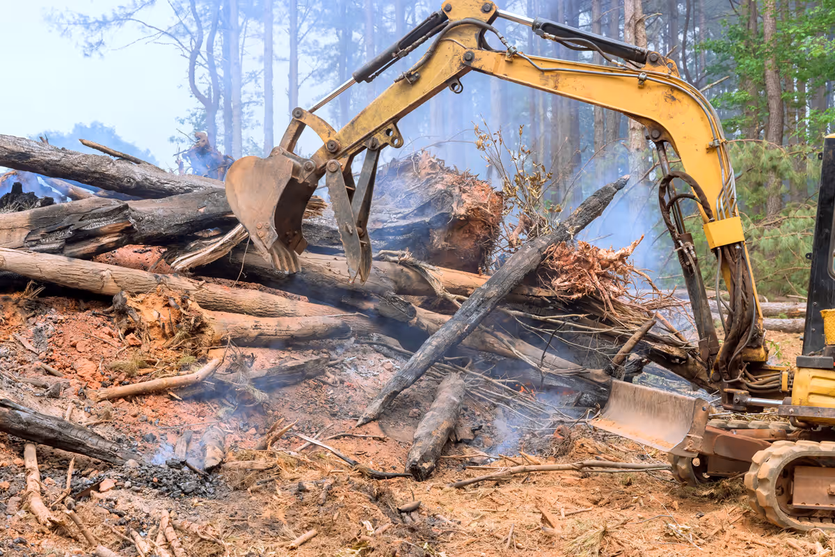 Yellow excavator clearing burned logs in misty forest after wildfire