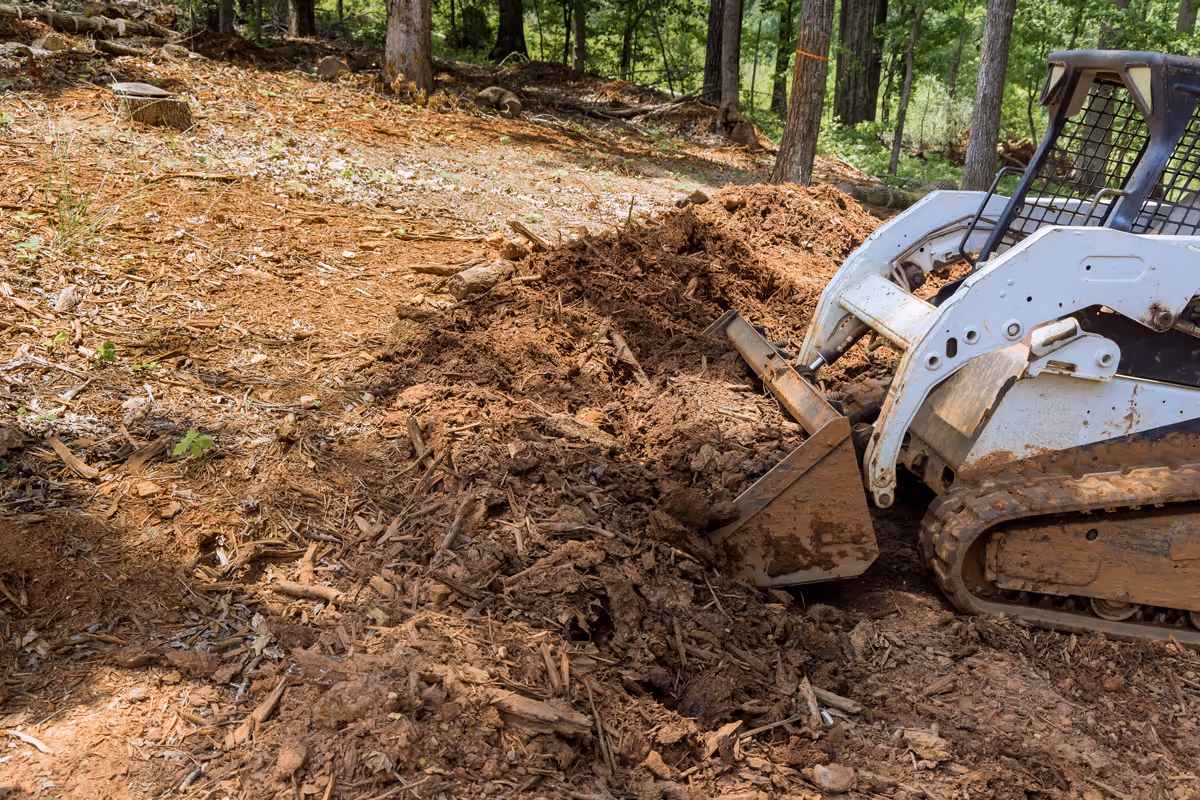 Skid steer loader digging and moving dirt in a forest clearing