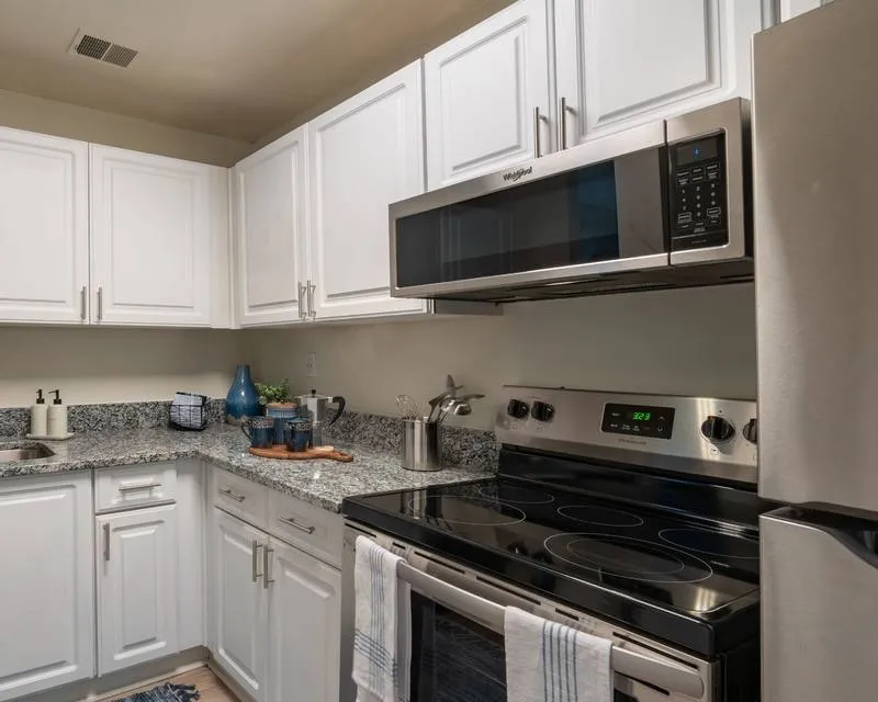 Stainless Steel Appliances