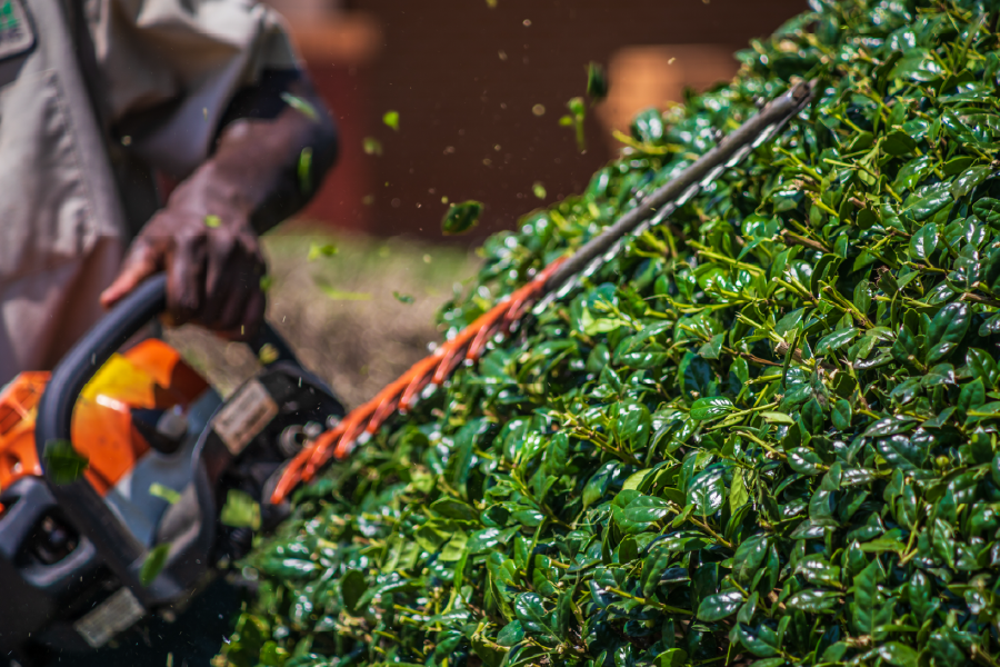 Controlling Costs in Landscaping: Why Service Price is Only Half the Equation