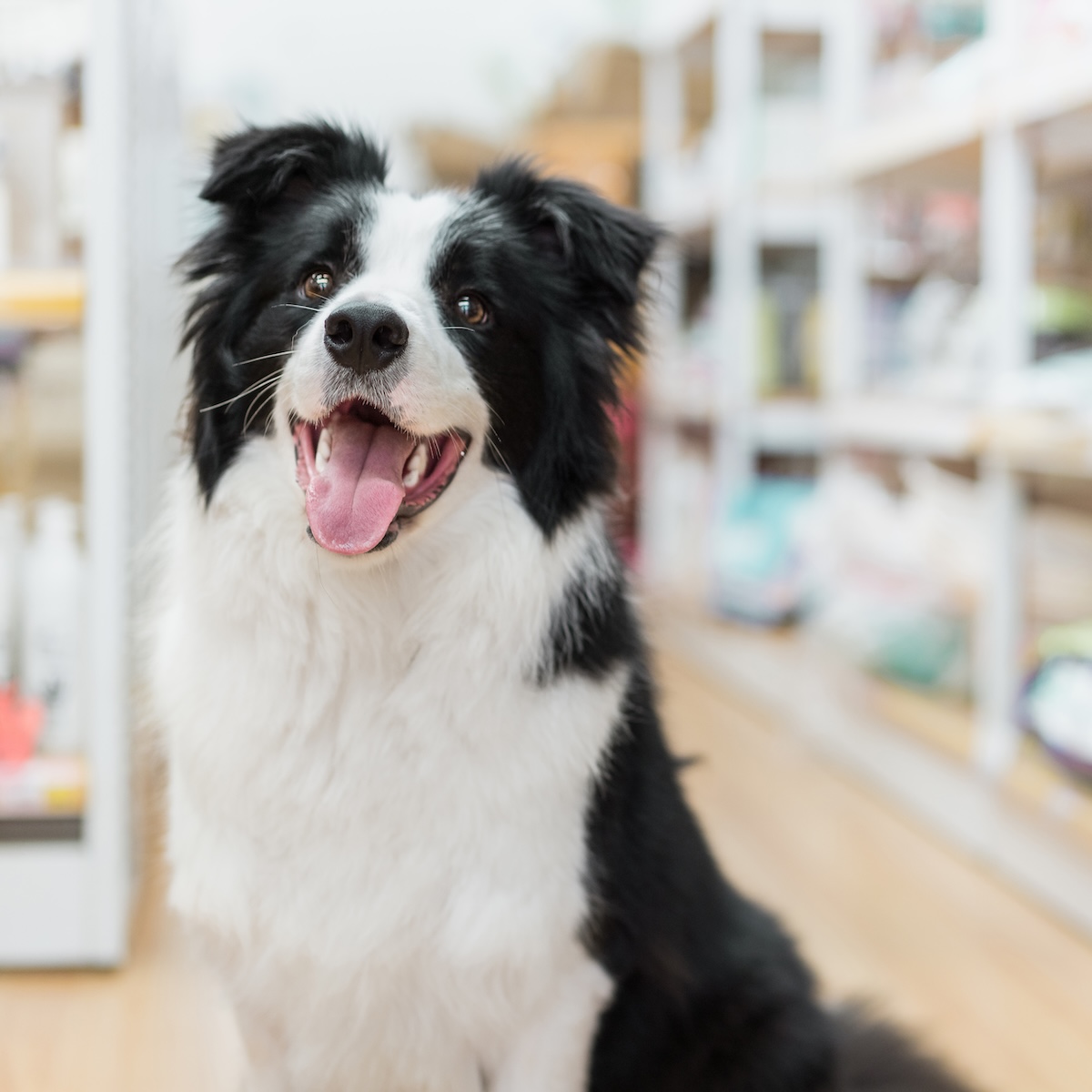 Commercial HVAC Services