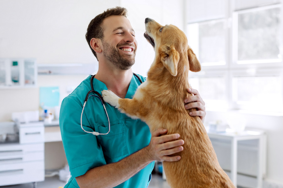 Supporting Growth Through Pre-Acquisition Intelligence and Clinical-Grade Standards