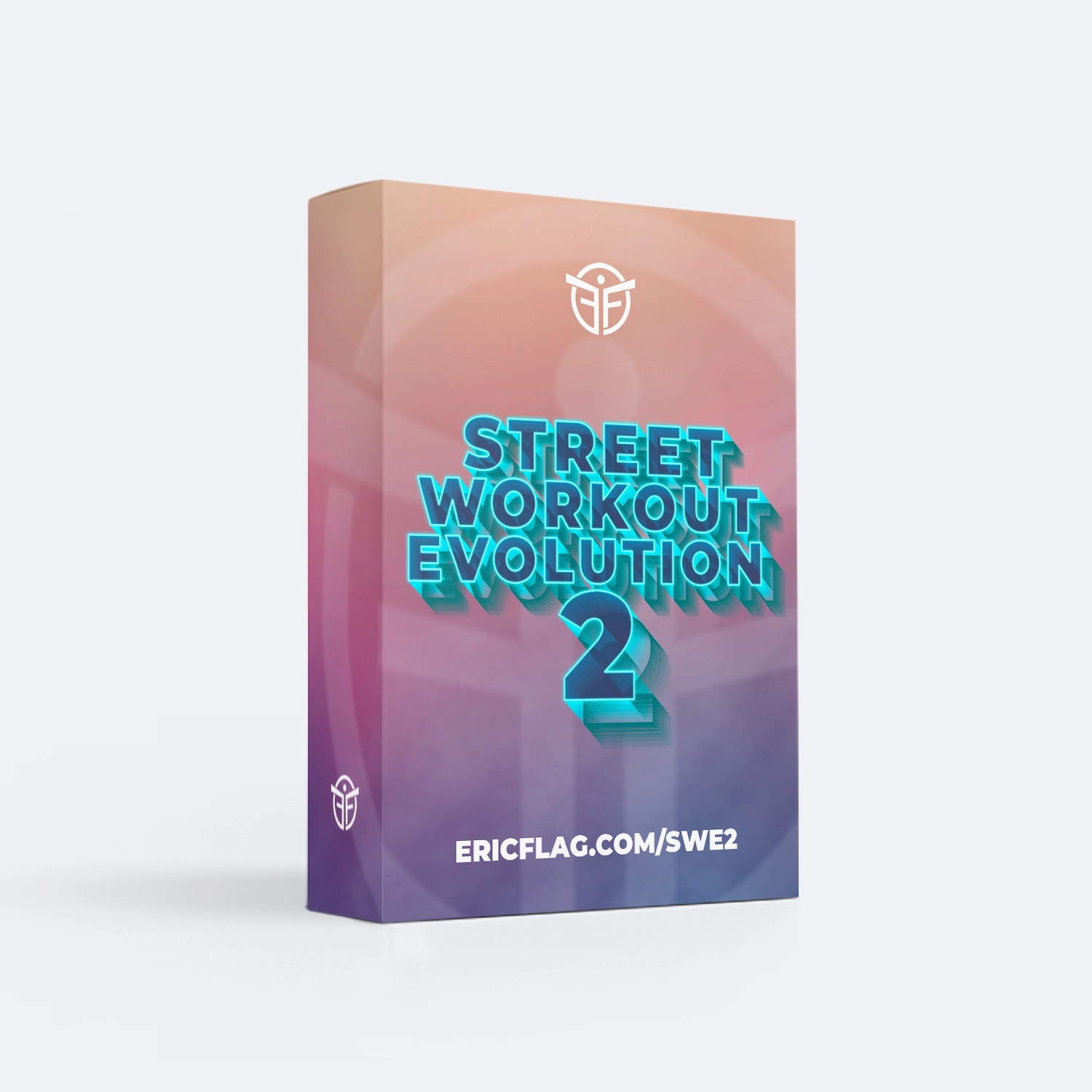 Programmes SWE 2 - Eric Flag