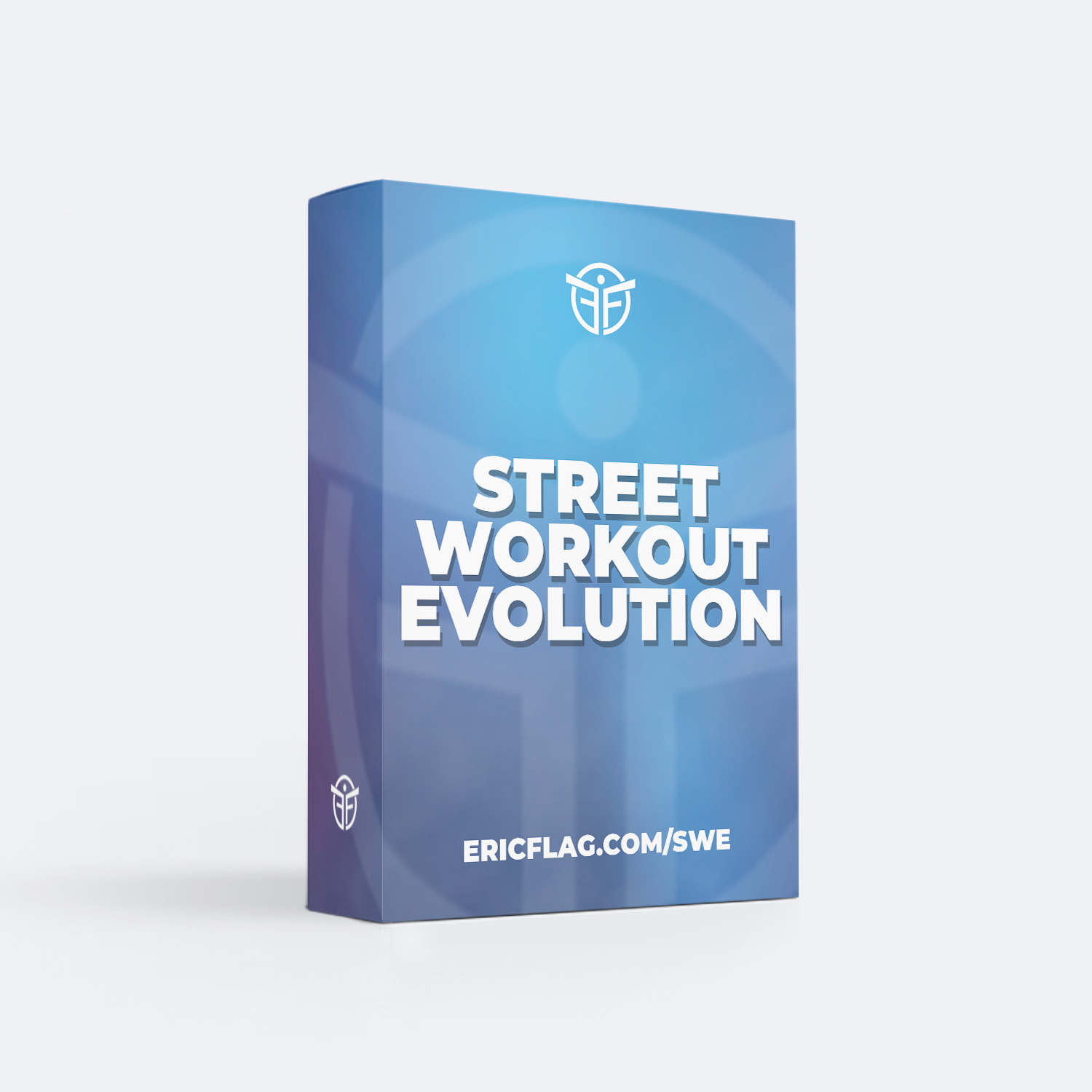 Street Workout Evolution
