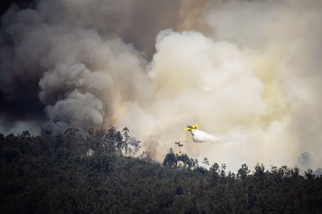 airplane and helicopter extinguishing fires in a burning national park forest