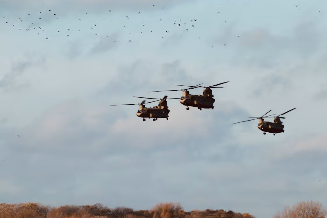 three military helicopters flying below a flock of birds in cloudy skies