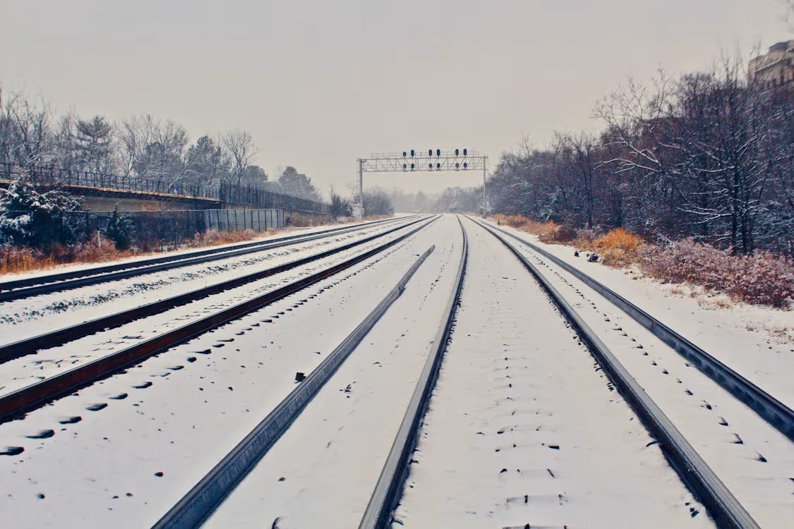 snow-covered train tracks lined with trees