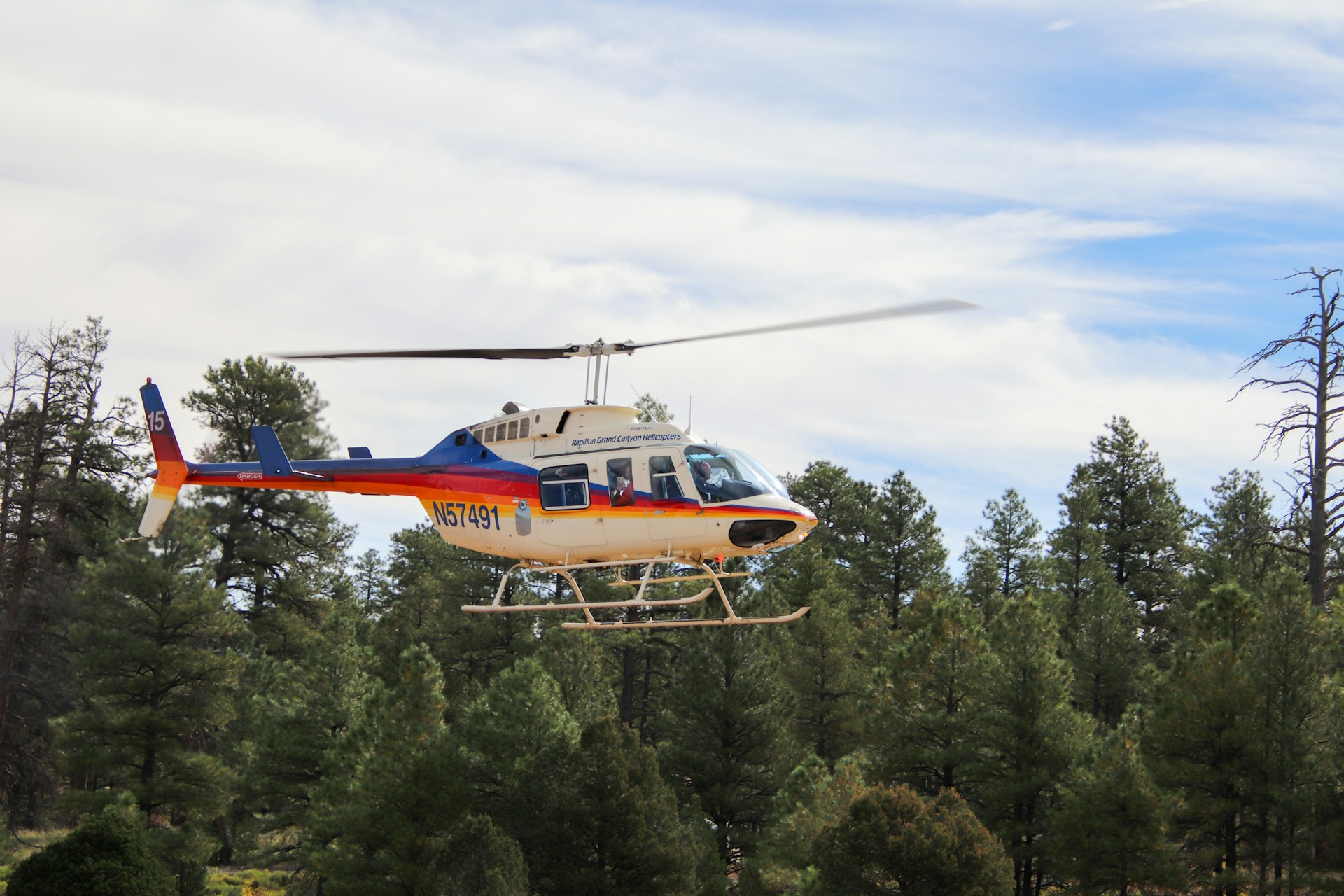 Invasive Species Management: Aerial Detection and Treatment Programs