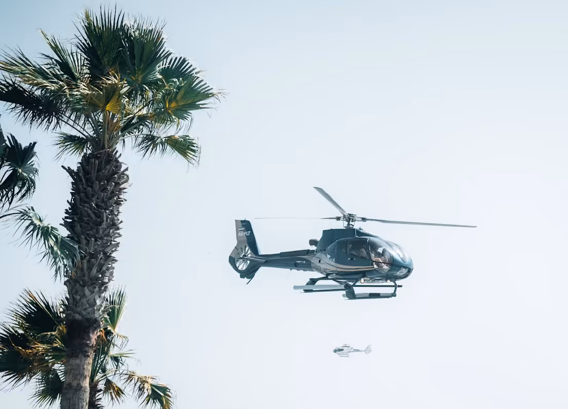 teal and white helicopters flying through foggy skies over palm trees