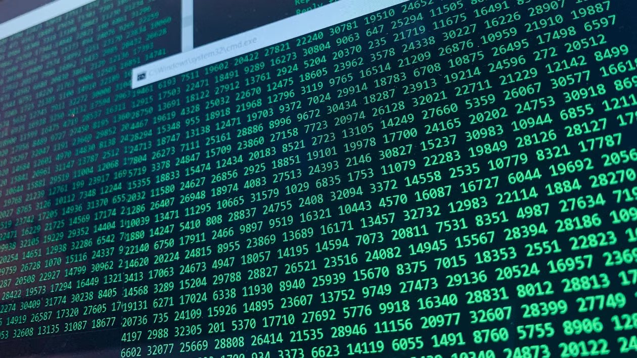 vibrant green numbers on a computer screen showcasing binary code and data streams