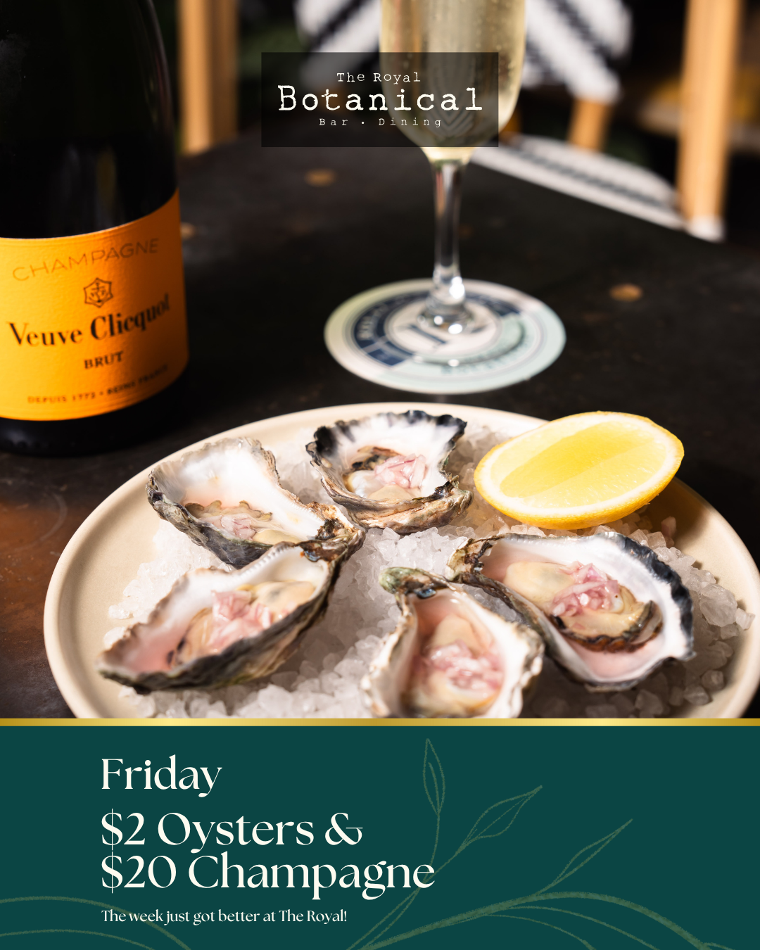 Friday Champagne & Oysters