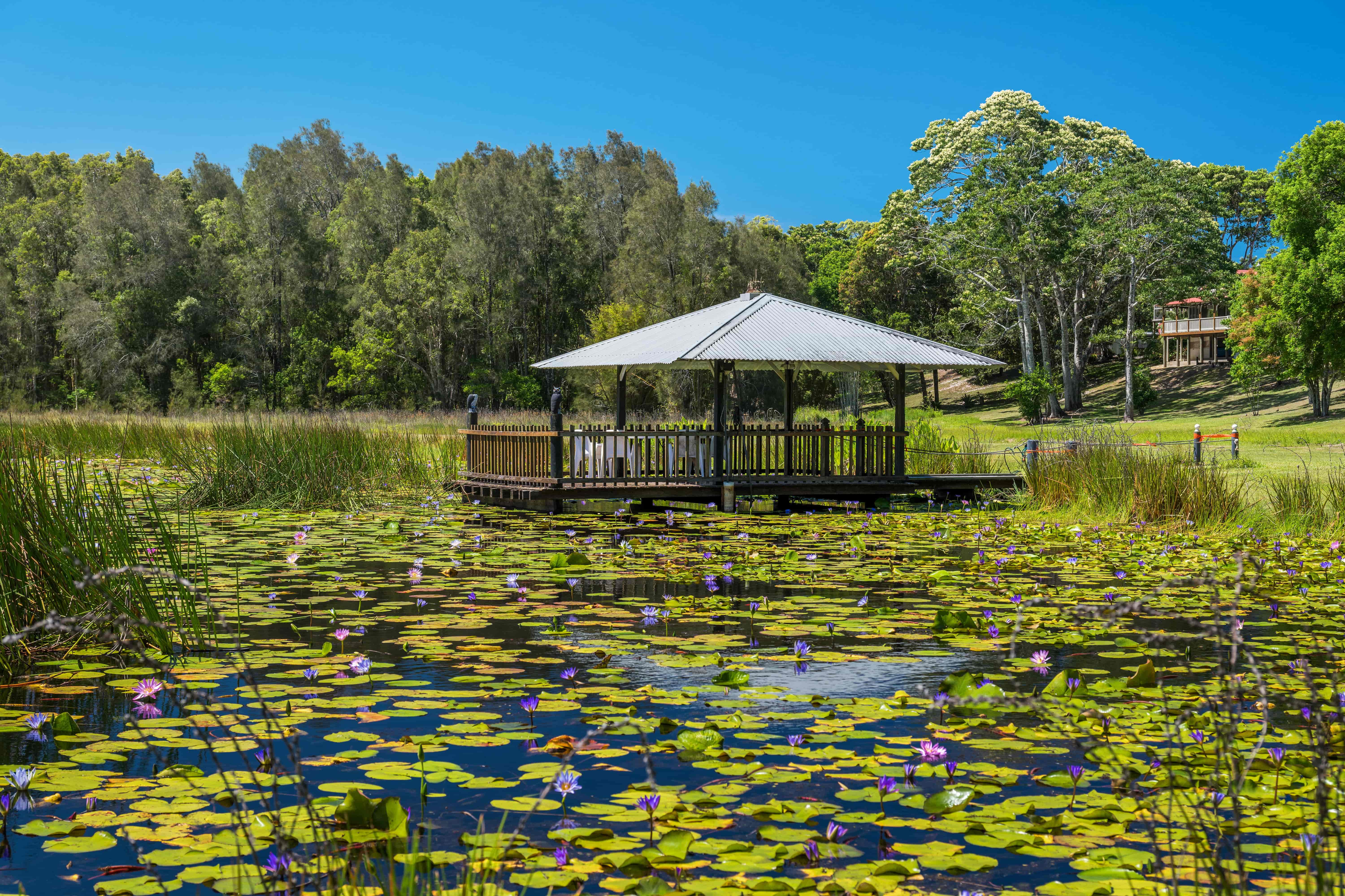 Rancho Pond