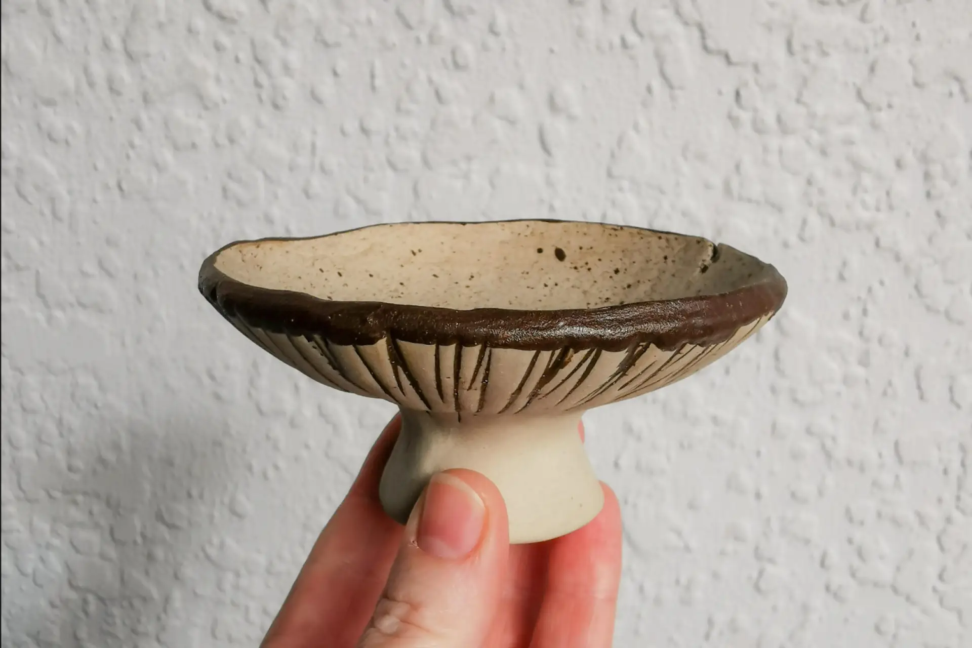 Fungi Fest NZ: Mini Pottery Workshop: Mushroom Trinket Dishes