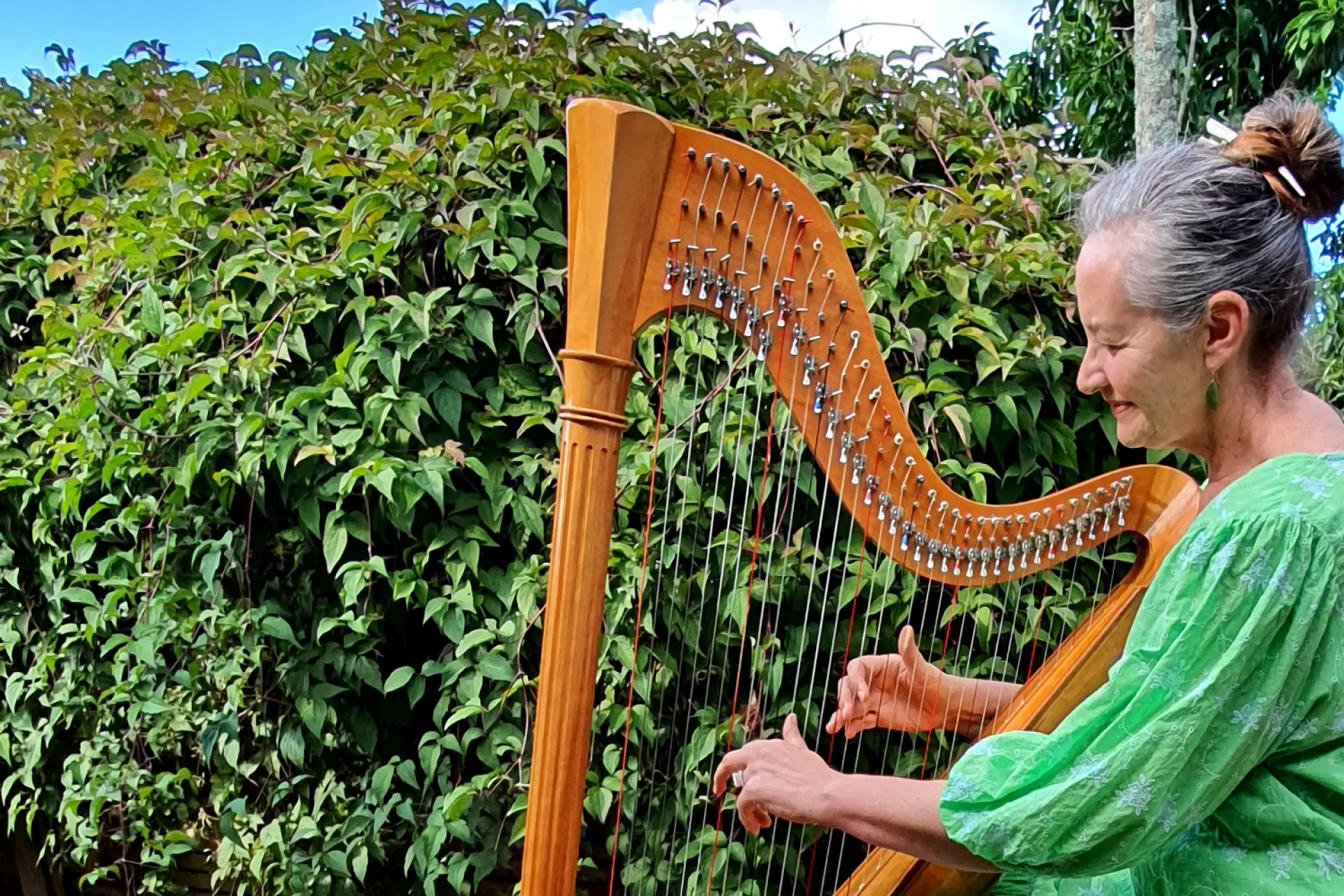Harp in the Library