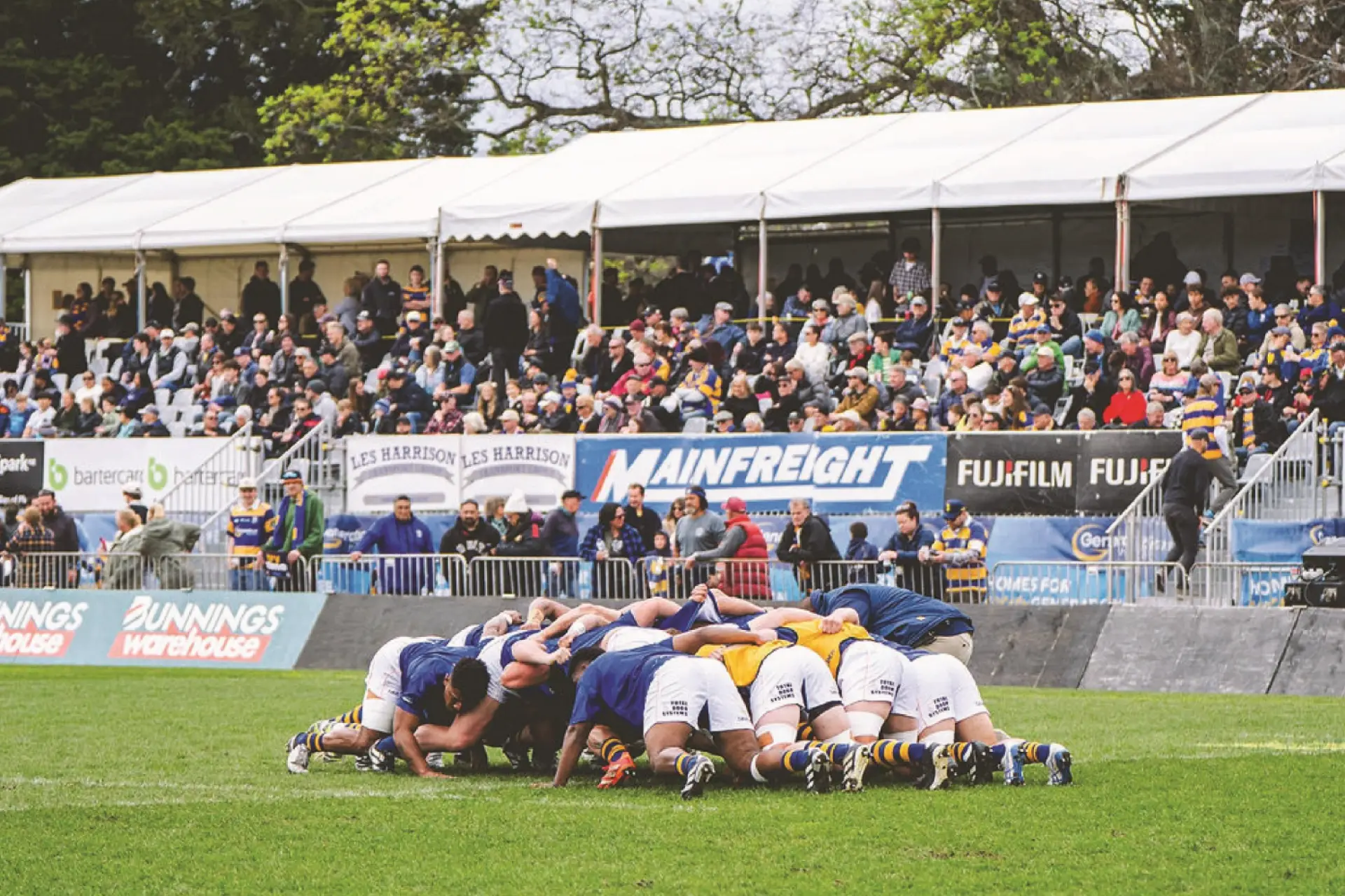 2026 NPC | Steamers vs North Harbour