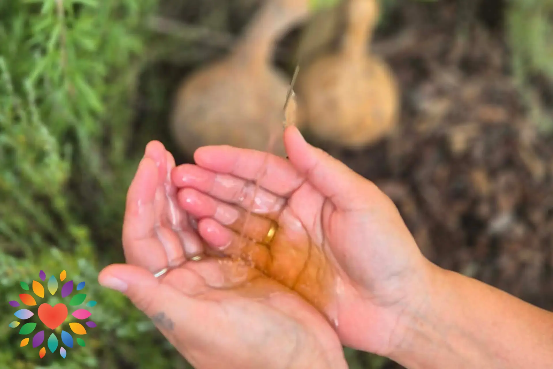 Ngā Tohu Aio – Traditional Māori Healing Clinic