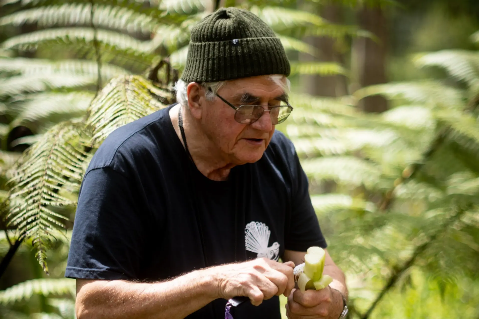 Book Launch: Rongoā Māori | A night with Robert McGowan (Pā Ropata)