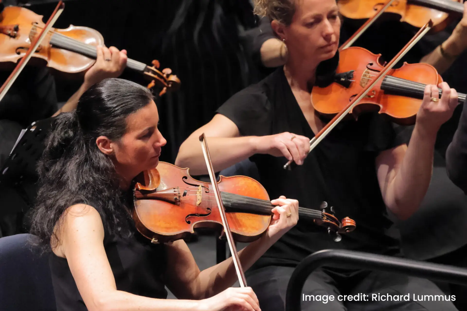 Opus Orchestra - String Ensemble
