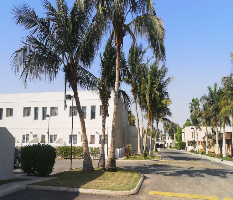 Exterior overview of completed Raytheon residential compound — Jeddah, Saudi Arabia. Delivered by OCC Weavers.