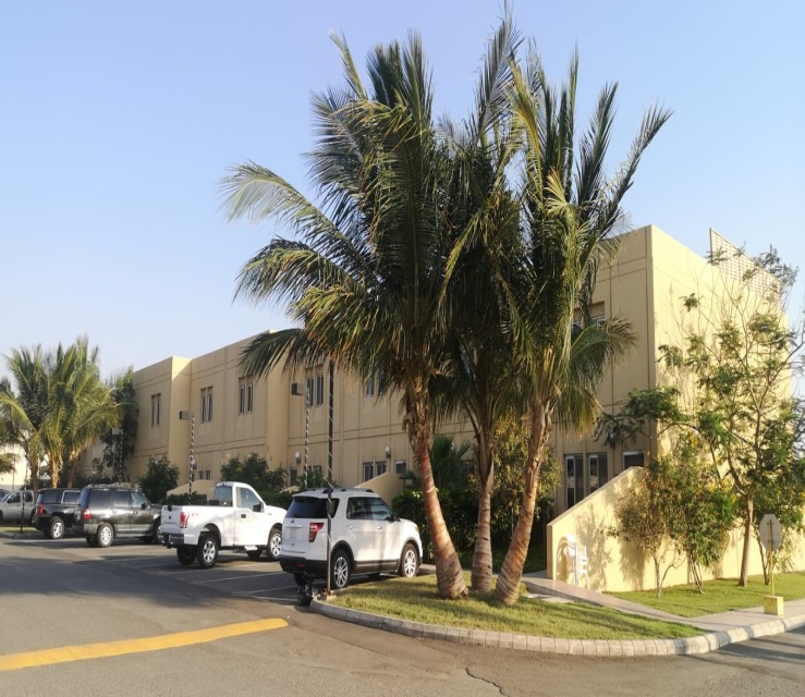 Residential buildings and offices construction — Raytheon Compound, Jeddah, Saudi Arabia. Delivered by OCC Weavers.