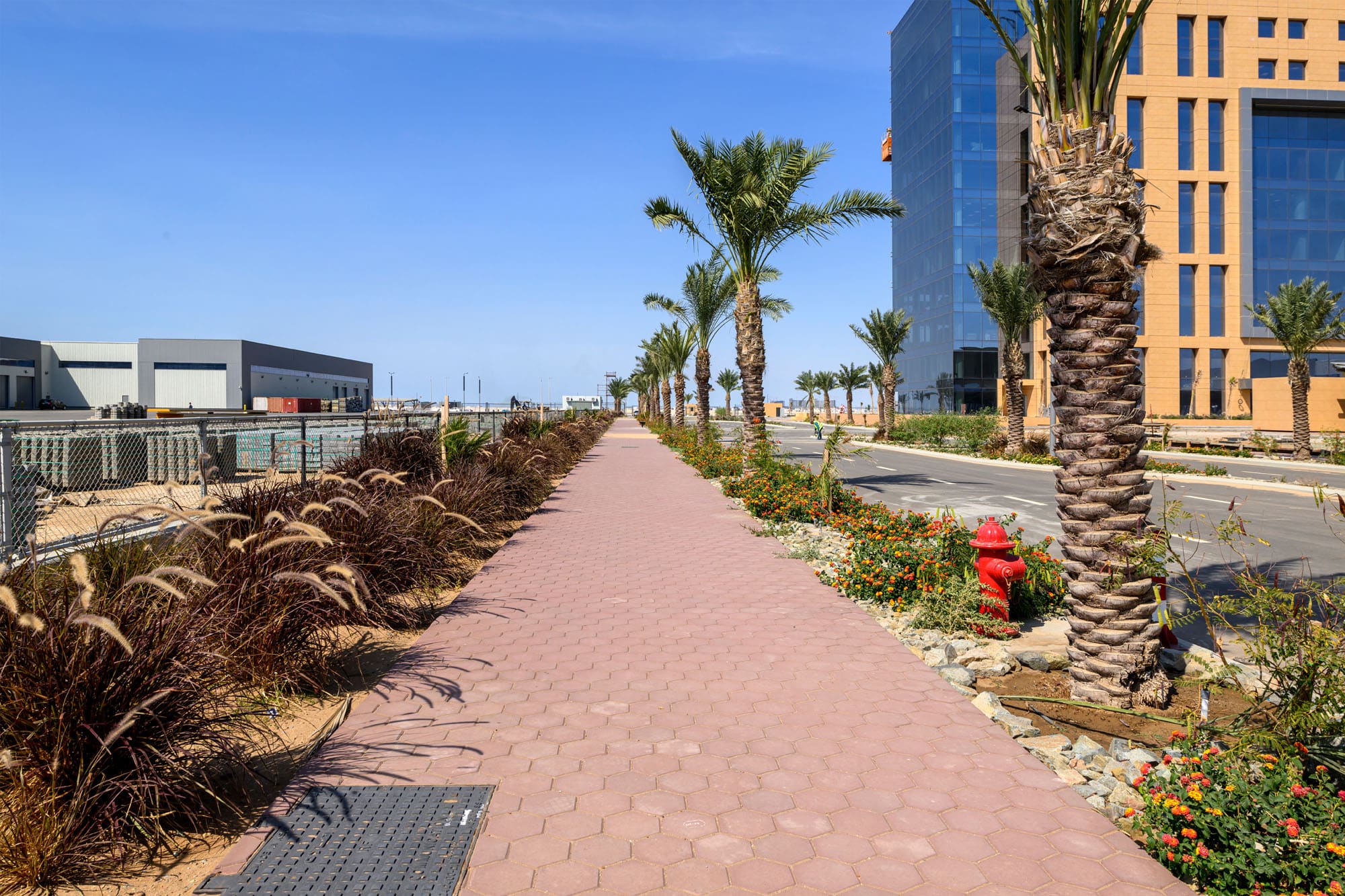 External works and landscaping — Zahid Business Park Infrastructure, Saudi Arabia. Delivered by OCC Weavers.