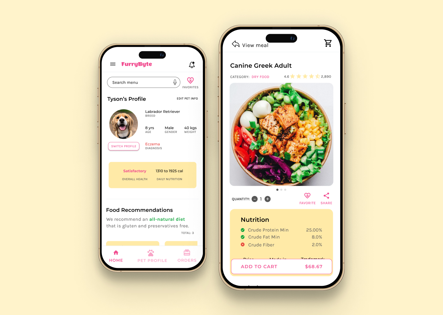 FurryByte project image