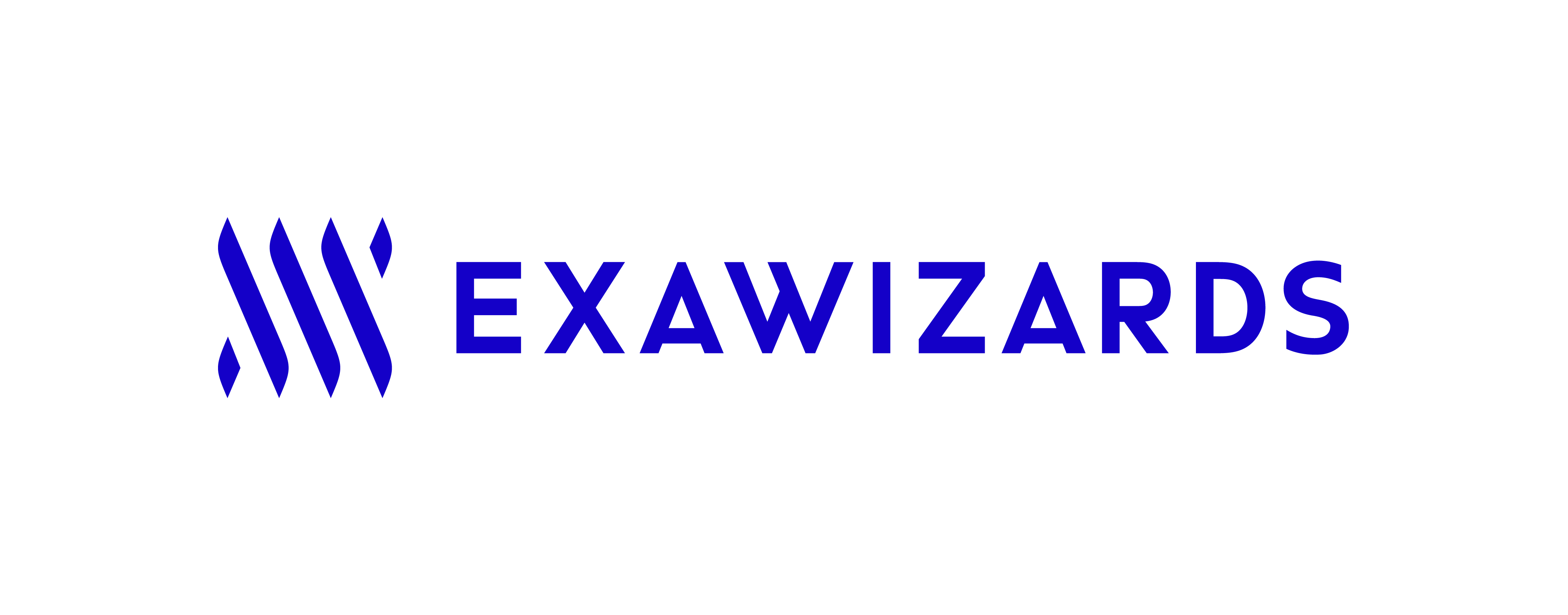 EXAWIZARDS