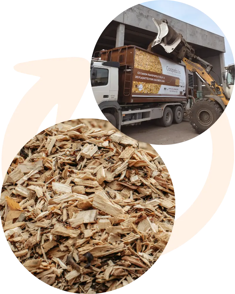 Vente et livraison de plaquettes bois pour des chaufferies de petites à moyennes puissance.