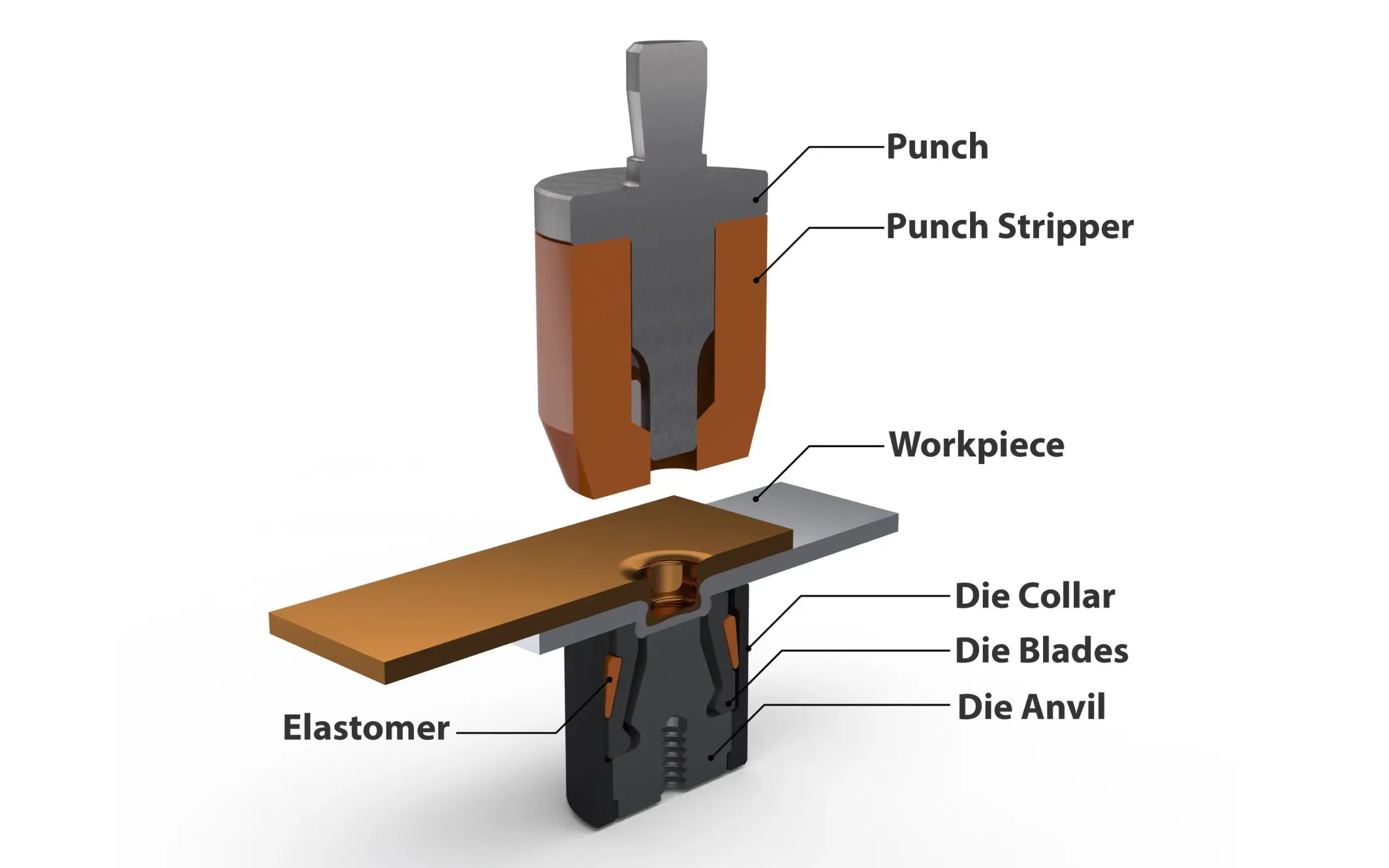 Clinch tooling 101: dies and punches