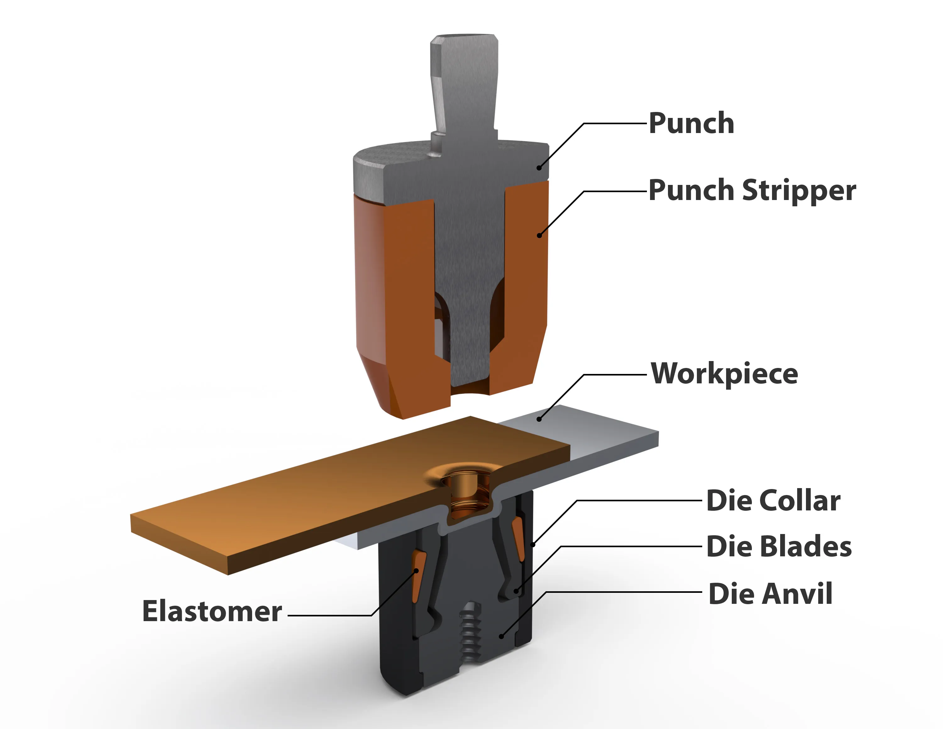 Clinching: How It Works, Tooling Required & Advantages