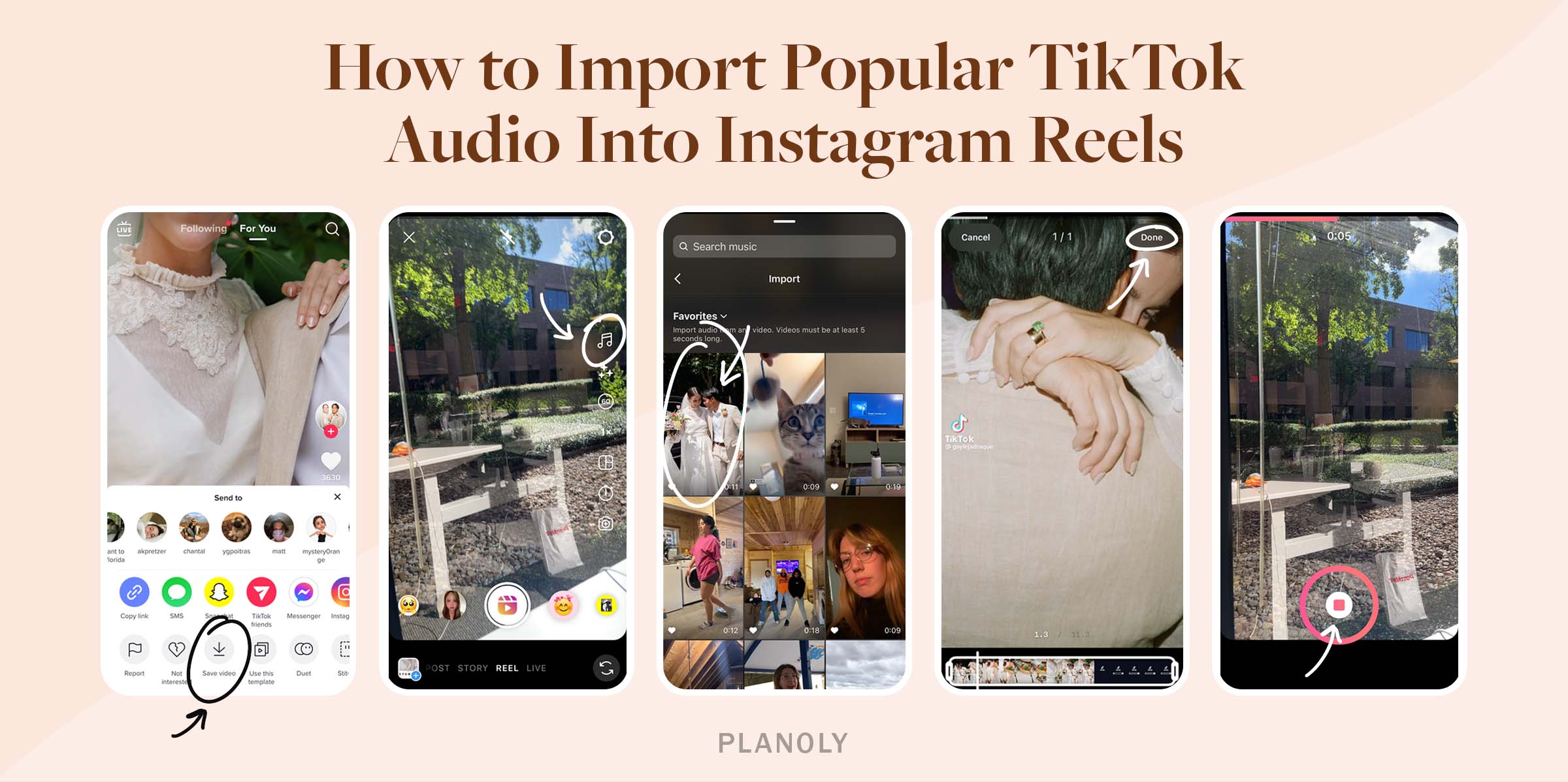 PLANOLY - Blog - How to Import TikTok Audio Into Instagram Reels - Horizontal Image