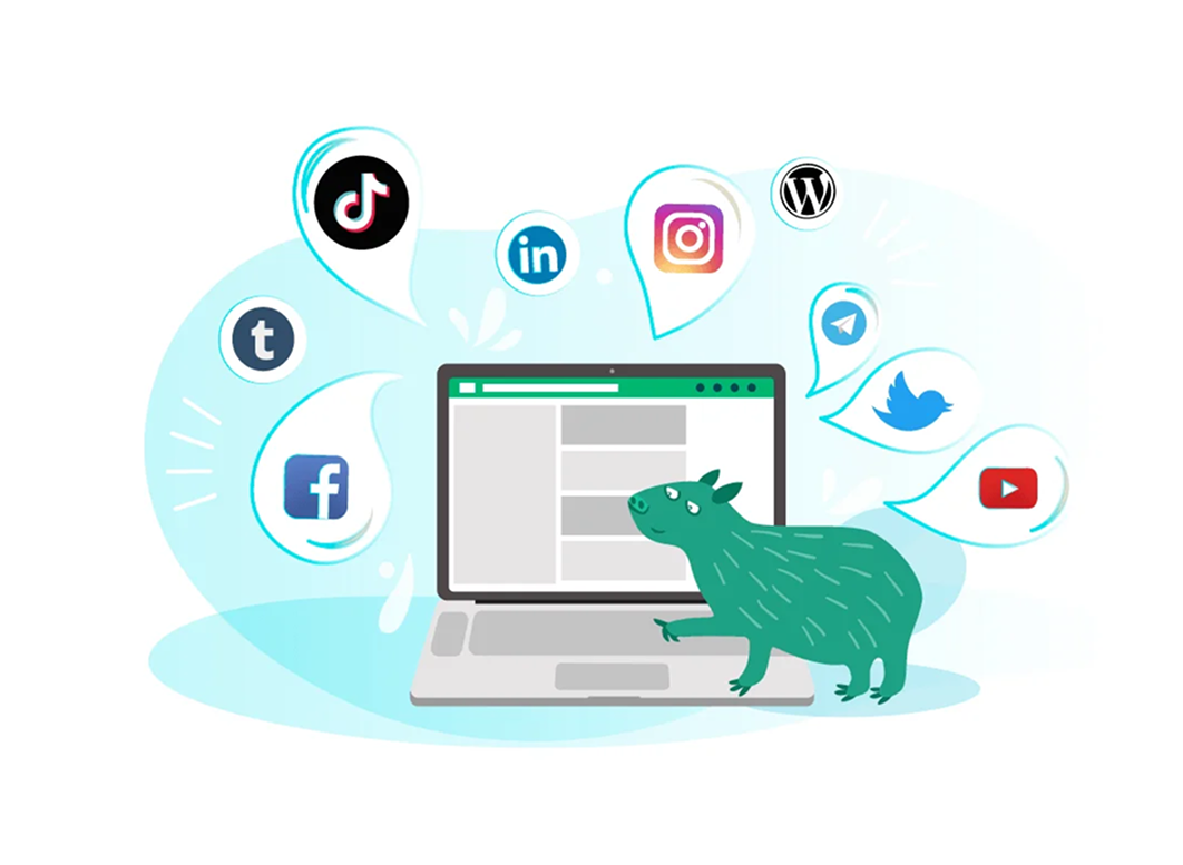 Distribution channels in video content marketing
