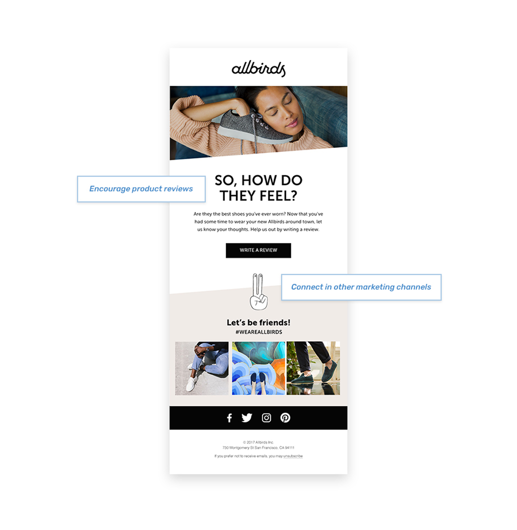 Allbirds marketing email