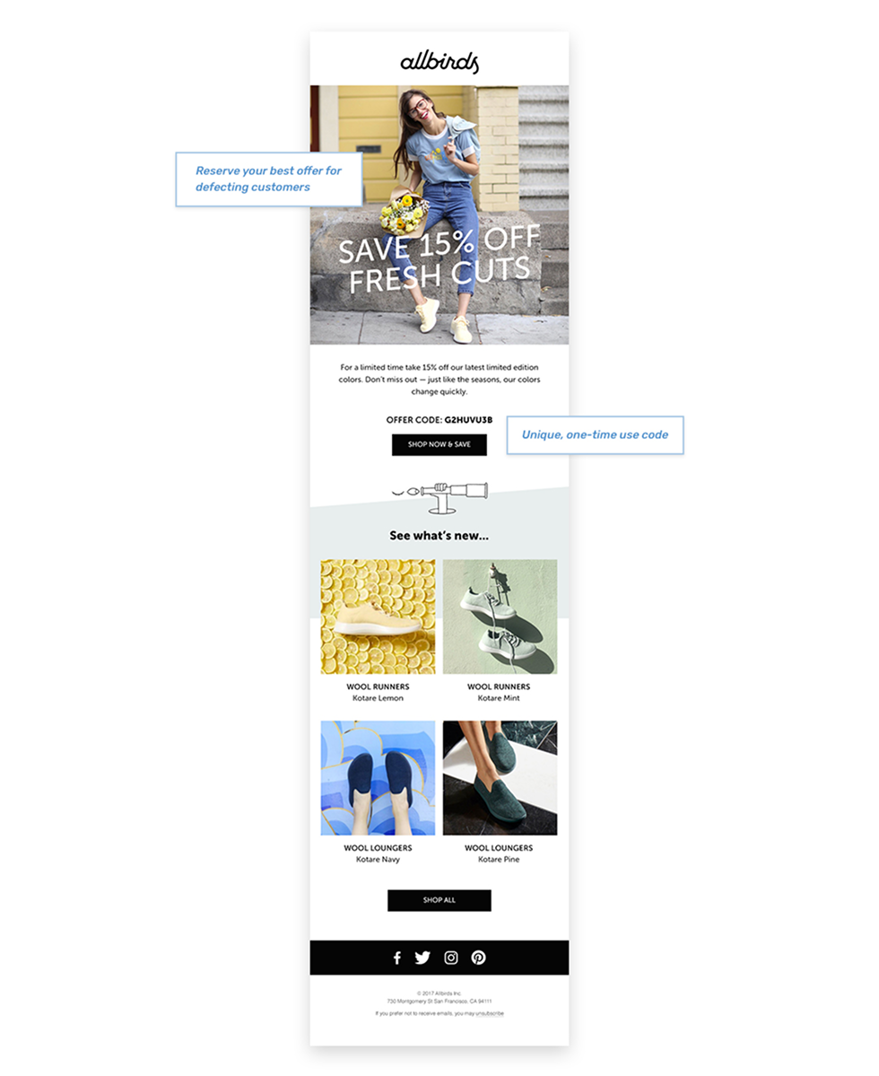 An example of the Allbirds marketing email