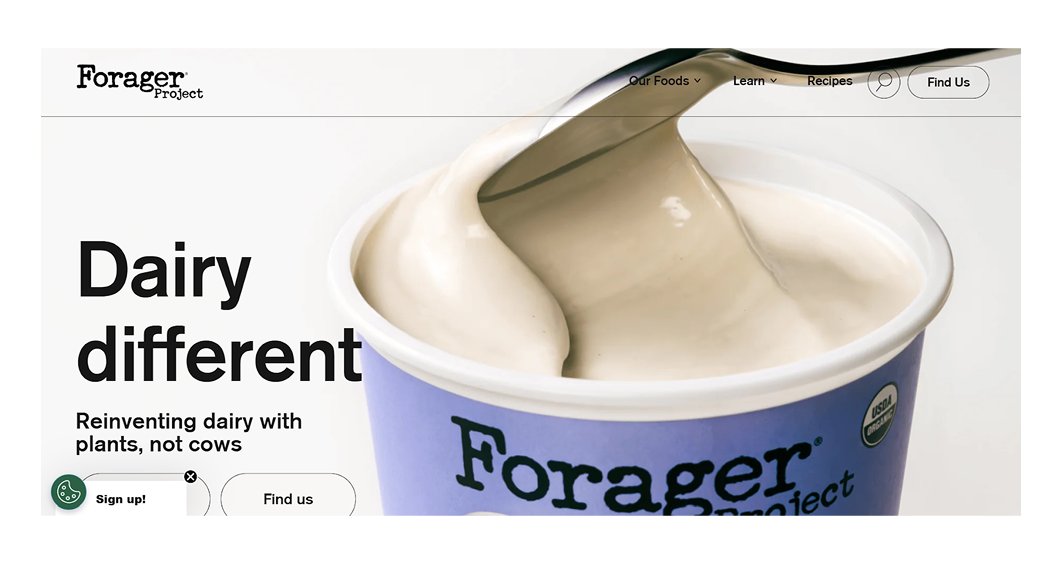 Forajer project minimalist website design