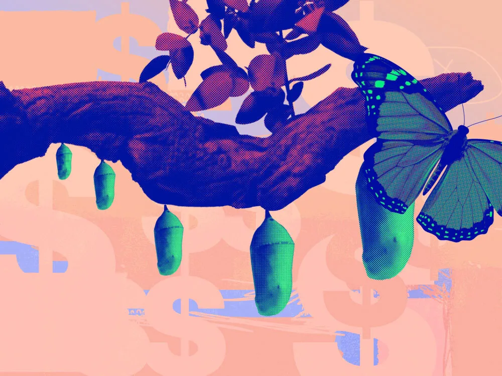 Metamorphosis of a butterfly representing the metamorphosis of a partner program