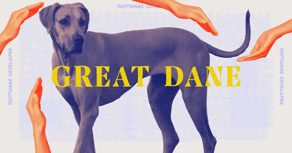 An image of a great dane dog as the tech job its representing, software developer