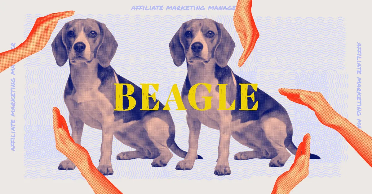 A beagle and its tech job representative, affiliate marketing manager