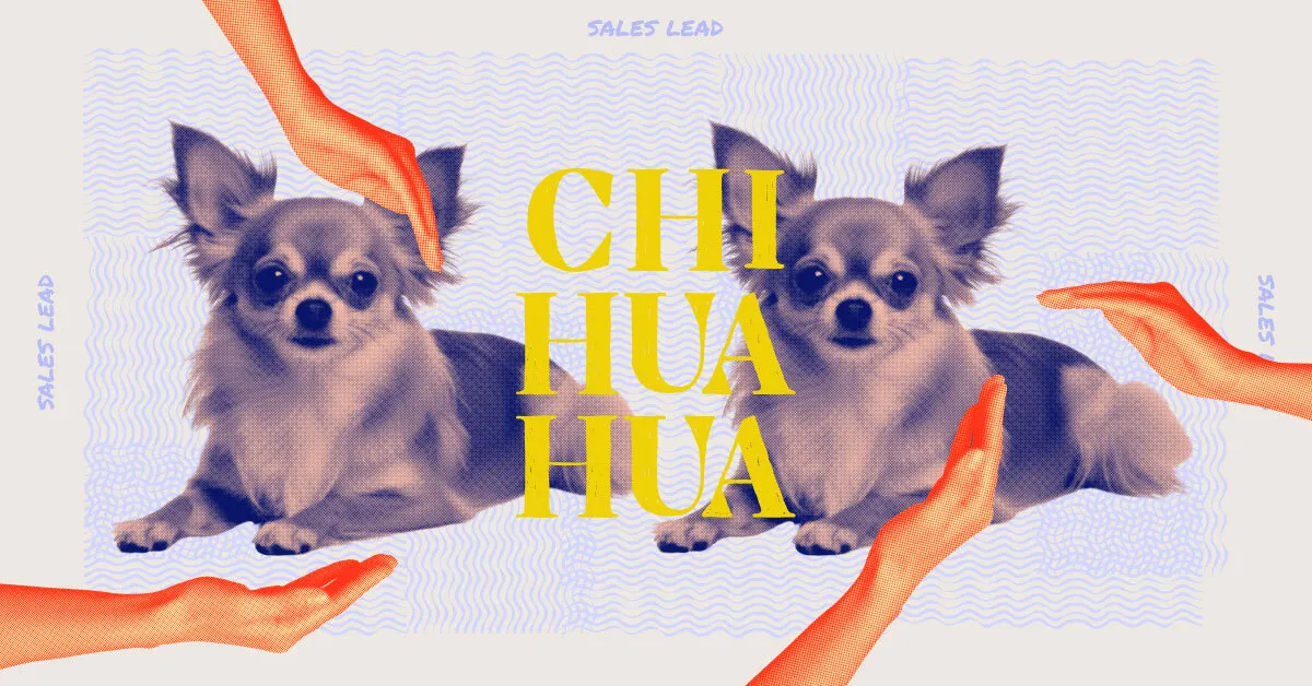 A chihuahua dog and the tech job its representing, sales lead