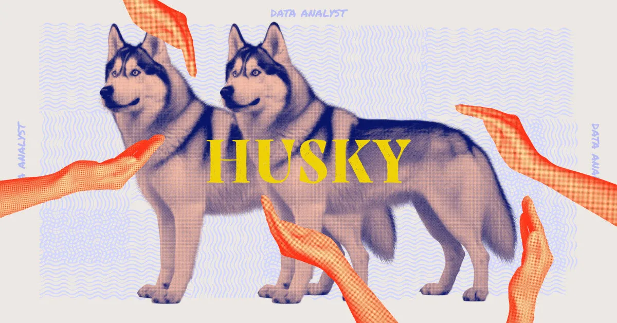 A husky dog and the tech job its representing, data analyst