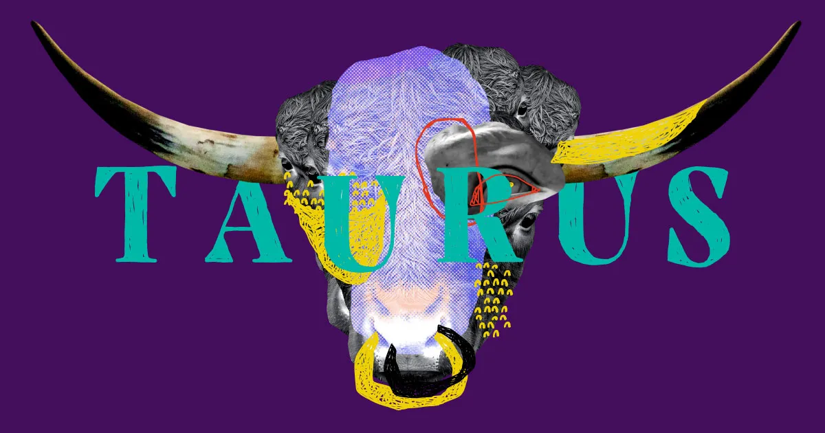 taurus zodiac illustration