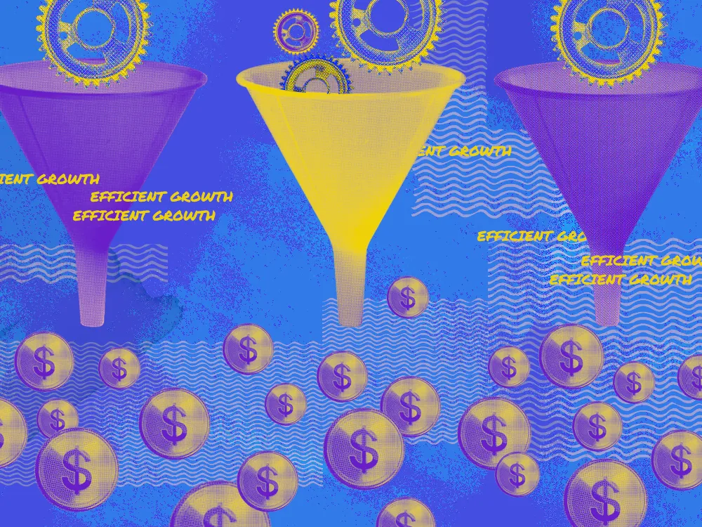 Micro-influencers supporting efficient growth